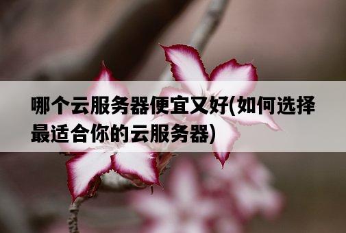 哪個云服務器便宜又好，如何選擇最適合你的云服務器-圖1