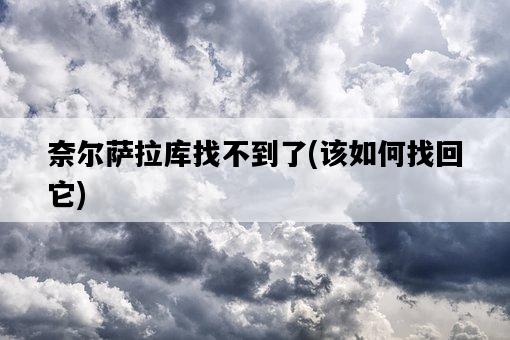 奈爾薩拉庫找不到了，該如何找回它-圖1