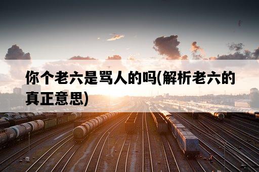 你個老六是罵人的嗎，解析老六的真正意思-圖1