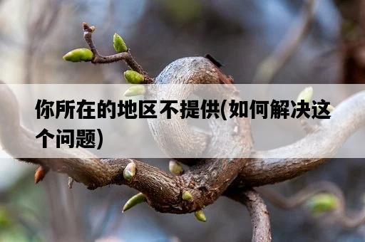你所在的地區不提供，如何解決這個問題-圖1