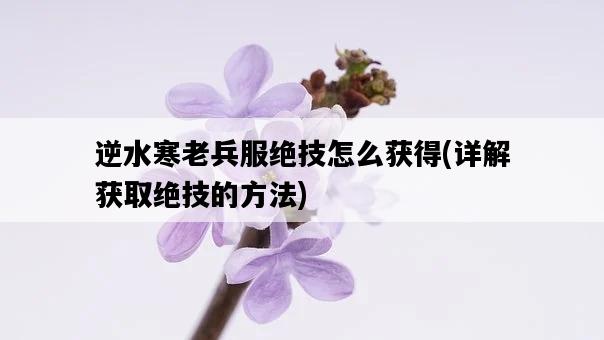 逆水寒老兵服絕技怎么獲得，詳解獲取絕技的方法-圖1