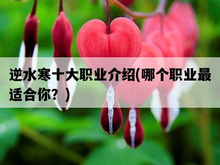 逆水寒十大職業介紹，哪個職業最適合你？-圖1