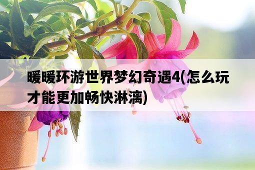 暖暖環游世界夢幻奇遇4，怎么玩才能更加暢快淋漓-圖1