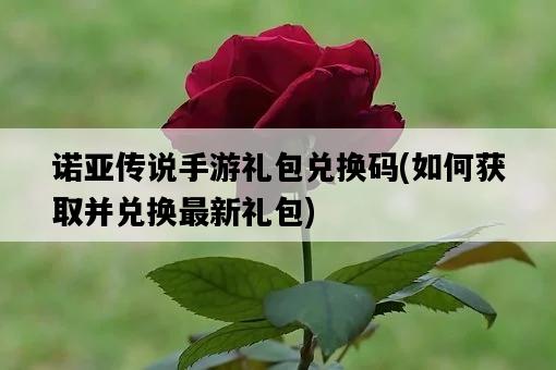 諾亞傳說手游禮包兌換碼，如何獲取并兌換最新禮包-圖1