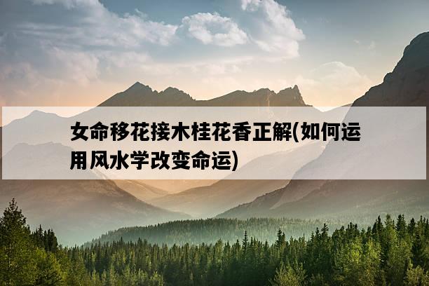 女命移花接木桂花香正解，如何運用風水學改變命運-圖1