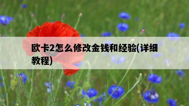 歐卡2怎么修改金錢和經驗，詳細教程-圖1