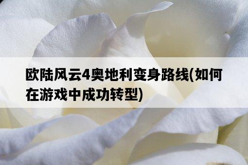 歐陸風云4奧地利變身路線，如何在游戲中成功轉型-圖1