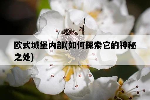 歐式城堡內部，如何探索它的神秘之處-圖1