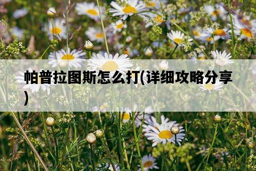 帕普拉圖斯怎么打，詳細攻略分享-圖1