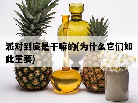 派對到底是干嘛的，為什么它們如此重要-圖1