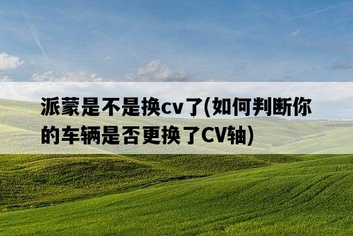 派蒙是不是換cv了，如何判斷你的車輛是否更換了CV軸-圖1