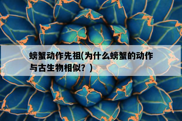 螃蟹動作先祖，為什么螃蟹的動作與古生物相似？-圖1