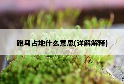 跑馬占地什么意思，詳解解釋-圖1