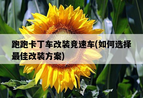 跑跑卡丁車改裝競速車，如何選擇最佳改裝方案-圖1