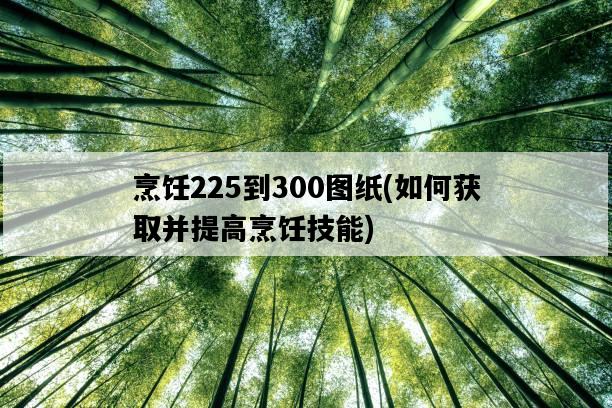 烹飪225到300圖紙，如何獲取并提高烹飪技能-圖1