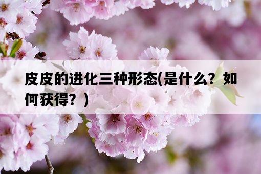 皮皮的進化三種形態，是什么？如何獲得？-圖1