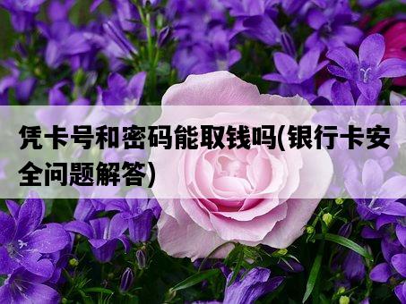 憑卡號和密碼能取錢嗎，銀行卡安全問題解答-圖1
