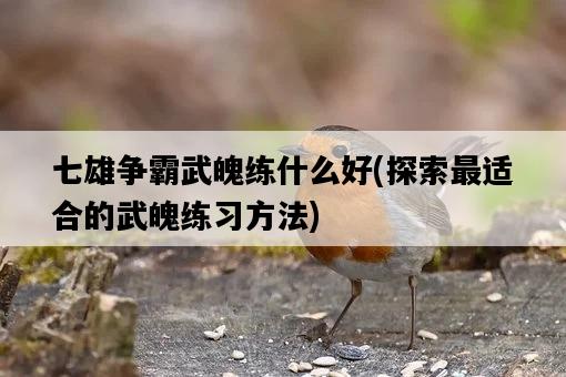 七雄爭霸武魄練什么好，探索最適合的武魄練習方法-圖1