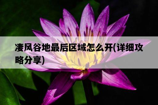 凄風谷地最后區域怎么開，詳細攻略分享-圖1
