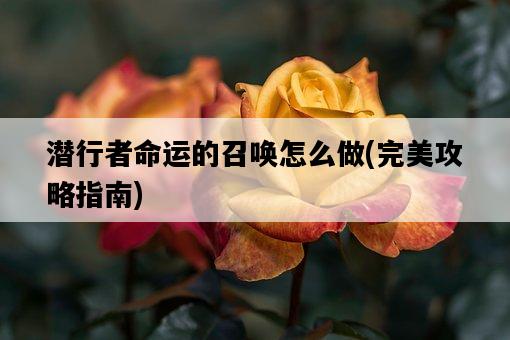 潛行者命運的召喚怎么做，完美攻略指南-圖1