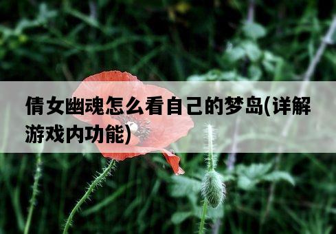 倩女幽魂怎么看自己的夢島，詳解游戲內功能-圖1