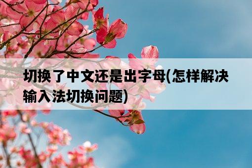 切換了中文還是出字母，怎樣解決輸入法切換問題-圖1