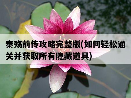 秦殤前傳攻略完整版，如何輕松通關并獲取所有隱藏道具-圖1