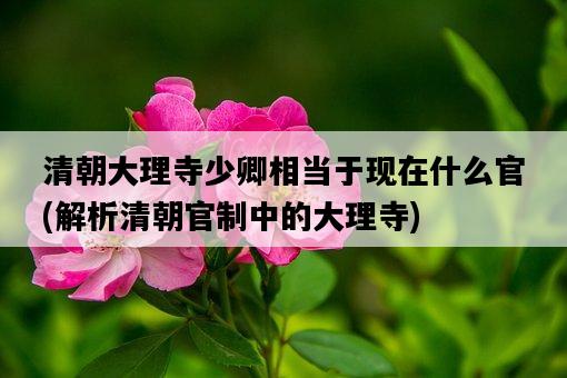 清朝大理寺少卿相當于現在什么官，解析清朝官制中的大理寺-圖1