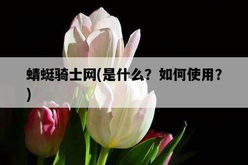 蜻蜓騎士網，是什么？如何使用？-圖1
