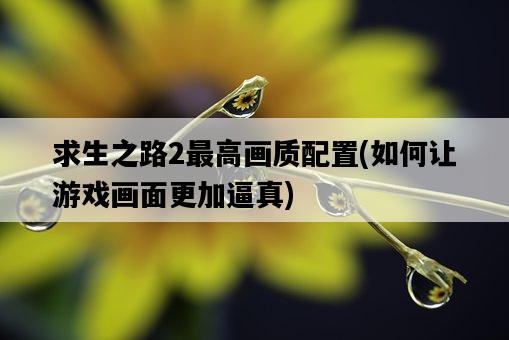 求生之路2最高畫質配置,如何讓游戲畫面更加逼真-圖1 求生之路2最高畫質配置,如何讓游戲畫面更加逼真-圖1