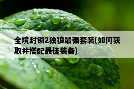 全境封鎖2獨狼最強套裝，如何獲取并搭配最佳裝備-圖1