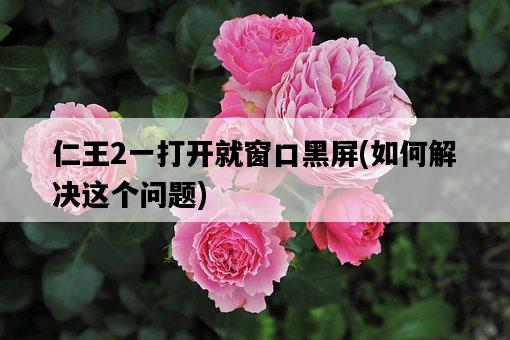仁王2一打開就窗口黑屏，如何解決這個問題-圖1