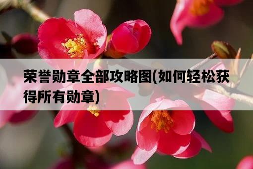 榮譽勛章全部攻略圖，如何輕松獲得所有勛章-圖1