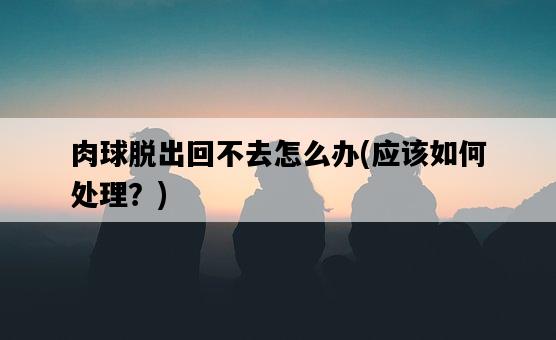 肉球脫出回不去怎么辦，應該如何處理？-圖1