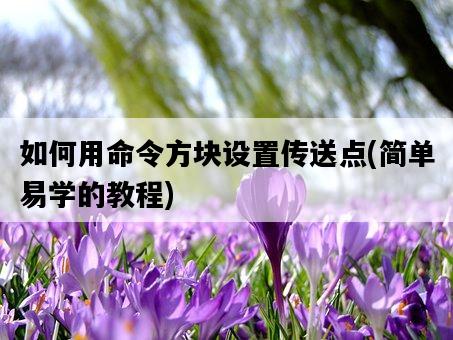如何用命令方塊設置傳送點，簡單易學的教程-圖1