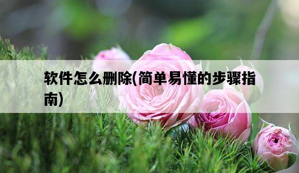 軟件怎么刪除，簡單易懂的步驟指南-圖1