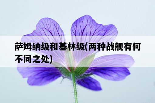 薩姆納級和基林級，兩種戰艦有何不同之處-圖1