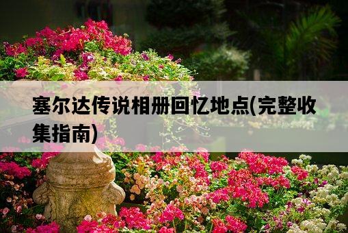 塞爾達傳說相冊回憶地點，完整收集指南-圖1