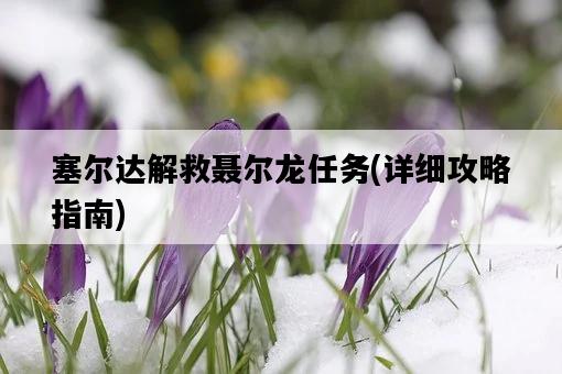塞爾達解救聶爾龍任務，詳細攻略指南-圖1