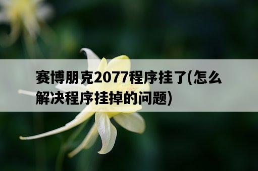 賽博朋克2077程序掛了，怎么解決程序掛掉的問題-圖1