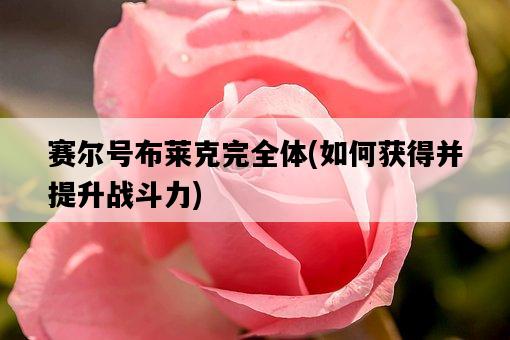 賽爾號布萊克完全體，如何獲得并提升戰斗力-圖1
