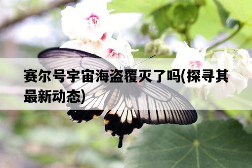 賽爾號宇宙海盜覆滅了嗎，探尋其最新動態-圖1