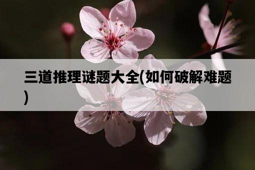 三道推理謎題大全，如何破解難題-圖1