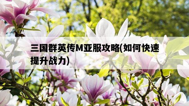 三國群英傳M亞服攻略，如何快速提升戰力-圖1