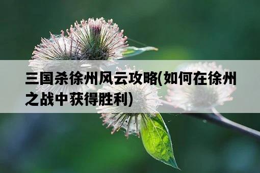三國殺徐州風云攻略，如何在徐州之戰中獲得勝利-圖1