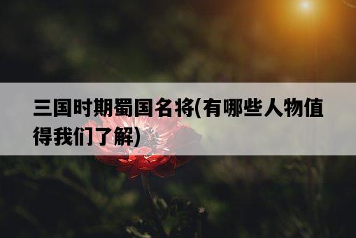 三國時期蜀國名將，有哪些人物值得我們了解-圖1
