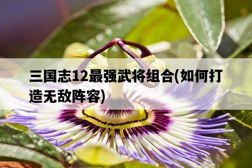 三國志12最強武將組合，如何打造無敵陣容-圖1