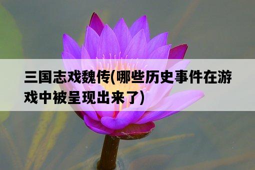 三國志戲魏傳，哪些歷史**在游戲中被呈現出來了-圖1