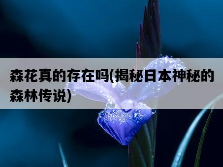 森花真的存在嗎，揭秘**神秘的森林傳說-圖1