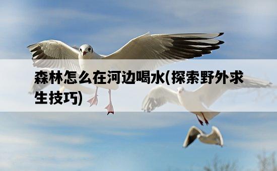 森林怎么在河邊喝水，探索野外求生技巧-圖1
